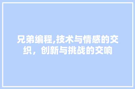 兄弟编程,技术与情感的交织，创新与挑战的交响