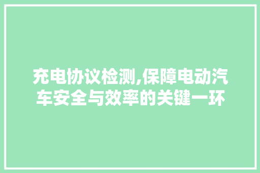 充电协议检测,保障电动汽车安全与效率的关键一环