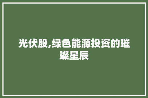 光伏股,绿色能源投资的璀璨星辰