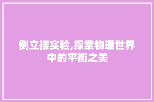 倒立摆实验,探索物理世界中的平衡之美