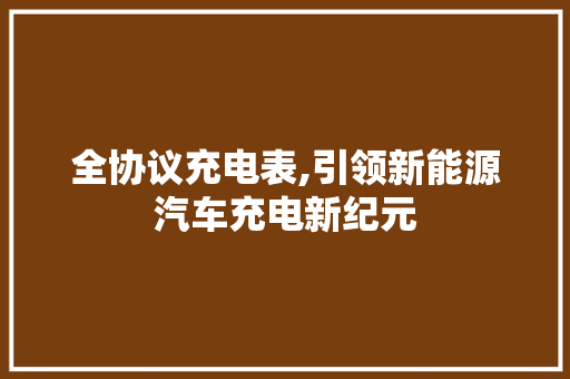 全协议充电表,引领新能源汽车充电新纪元
