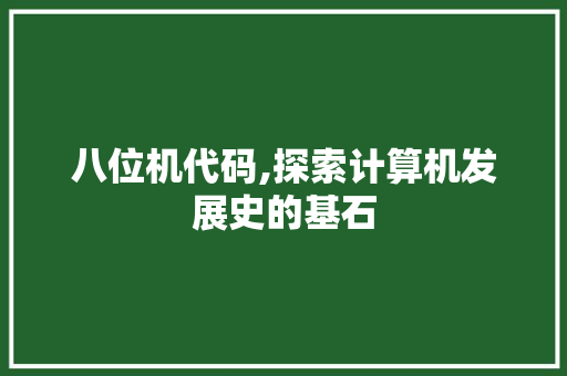 八位机代码,探索计算机发展史的基石