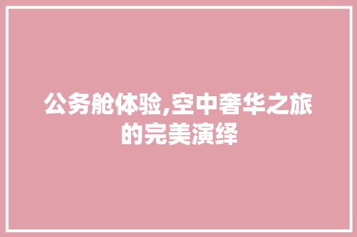 公务舱体验,空中奢华之旅的完美演绎