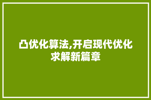 凸优化算法,开启现代优化求解新篇章