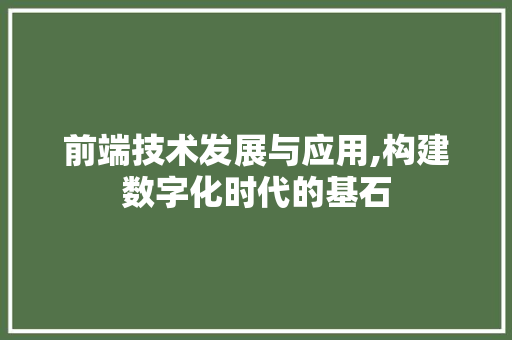 前端技术发展与应用,构建数字化时代的基石