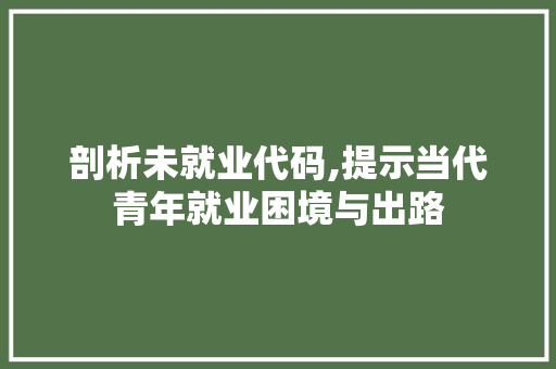 剖析未就业代码,提示当代青年就业困境与出路