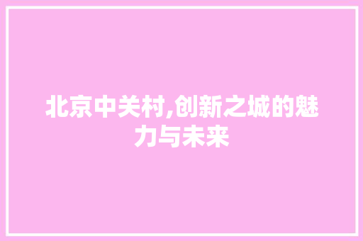 北京中关村,创新之城的魅力与未来 百度SEO