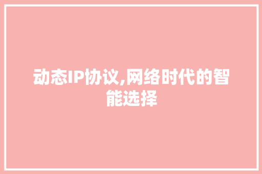 动态IP协议,网络时代的智能选择