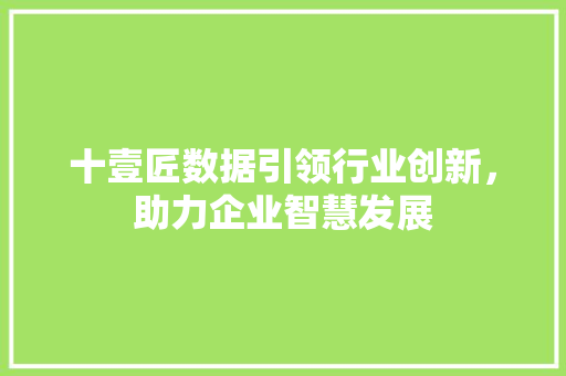 十壹匠数据引领行业创新，助力企业智慧发展