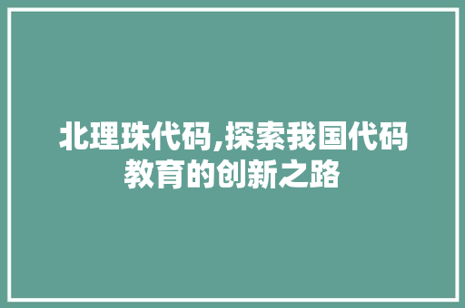 北理珠代码,探索我国代码教育的创新之路
