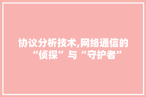 协议分析技术,网络通信的“侦探”与“守护者” SEO关键词