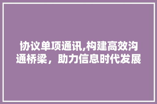 协议单项通讯,构建高效沟通桥梁，助力信息时代发展 必应SEO