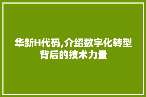 华新H代码,介绍数字化转型背后的技术力量