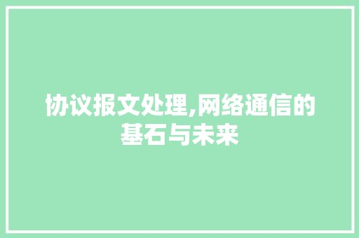 协议报文处理,网络通信的基石与未来