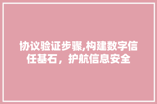 协议验证步骤,构建数字信任基石，护航信息安全