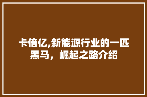 卡倍亿,新能源行业的一匹黑马，崛起之路介绍