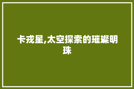 卡戎星,太空探索的璀璨明珠