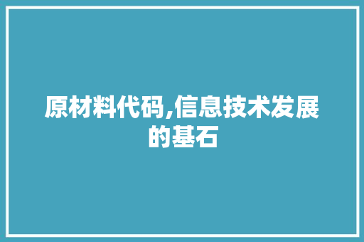 原材料代码,信息技术发展的基石