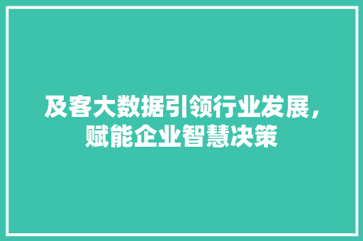 及客大数据引领行业发展，赋能企业智慧决策