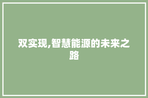 双实现,智慧能源的未来之路