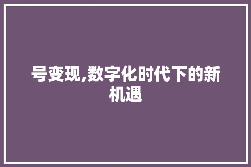 号变现,数字化时代下的新机遇 神马SEO