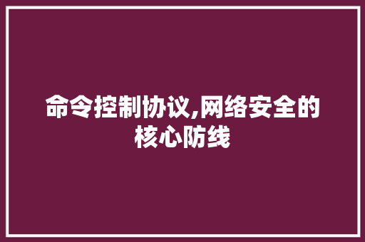 命令控制协议,网络安全的核心防线