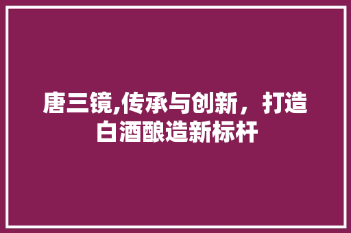 唐三镜,传承与创新，打造白酒酿造新标杆
