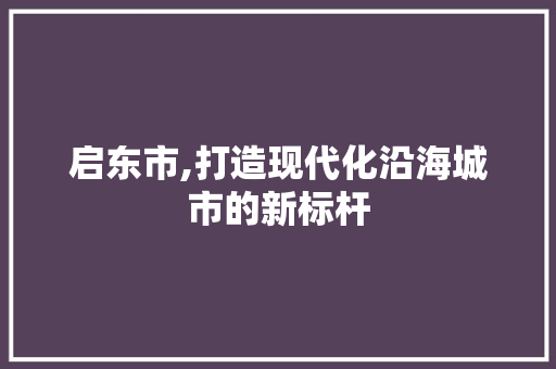 启东市,打造现代化沿海城市的新标杆