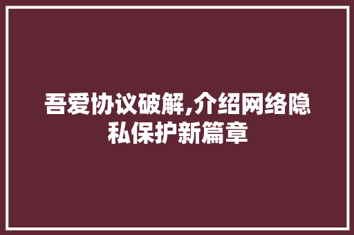 吾爱协议破解,介绍网络隐私保护新篇章