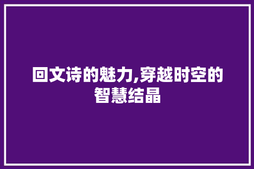 回文诗的魅力,穿越时空的智慧结晶 网站建设公司