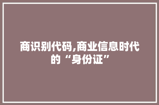 商识别代码,商业信息时代的“身份证”