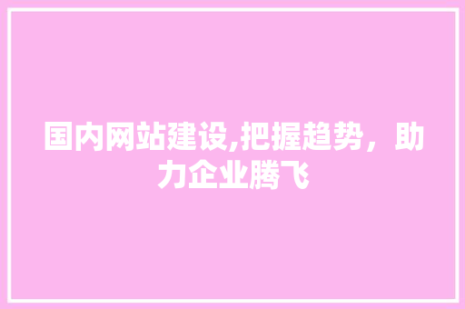 国内网站建设,把握趋势，助力企业腾飞