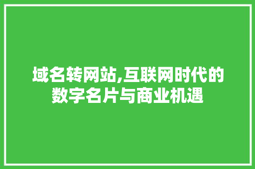 域名转网站,互联网时代的数字名片与商业机遇 网站建设公司