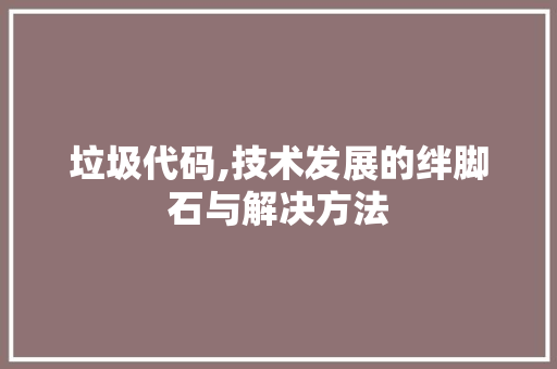 垃圾代码,技术发展的绊脚石与解决方法