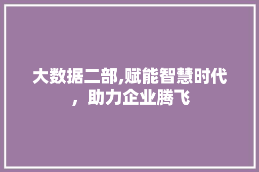 大数据二部,赋能智慧时代，助力企业腾飞