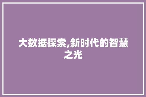 大数据探索,新时代的智慧之光