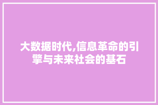 大数据时代,信息革命的引擎与未来社会的基石