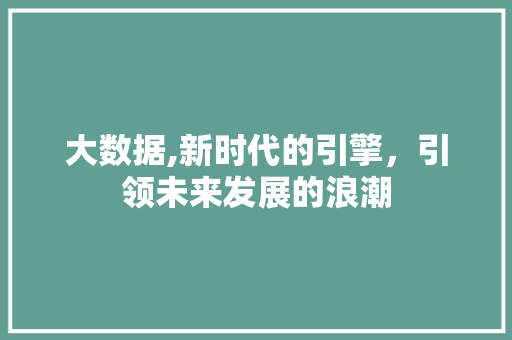 大数据,新时代的引擎，引领未来发展的浪潮