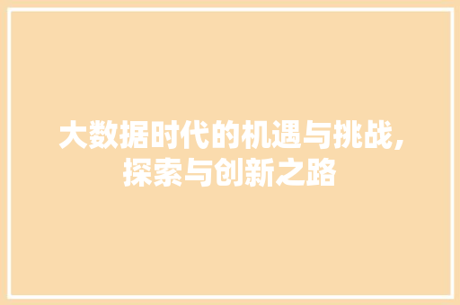 大数据时代的机遇与挑战,探索与创新之路