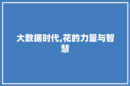 大数据时代,花的力量与智慧