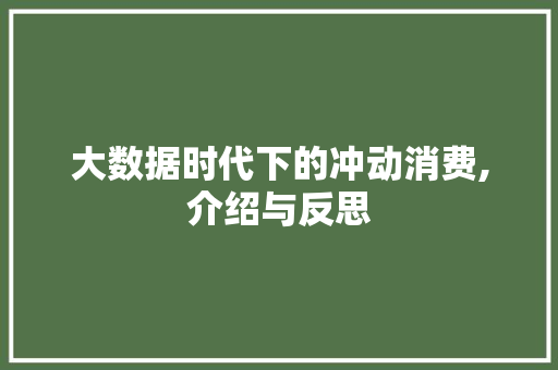 大数据时代下的冲动消费,介绍与反思
