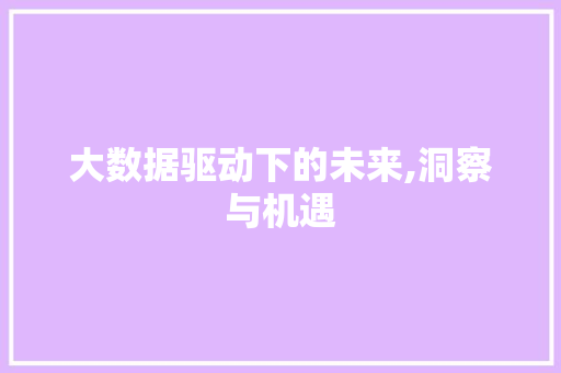 大数据驱动下的未来,洞察与机遇