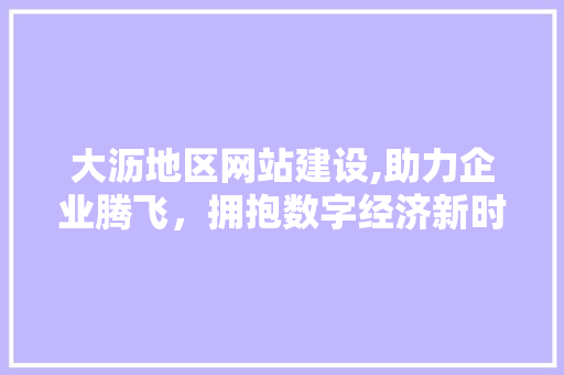 大沥地区网站建设,助力企业腾飞，拥抱数字经济新时代