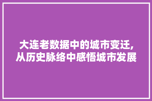 大连老数据中的城市变迁,从历史脉络中感悟城市发展 必应SEO