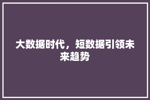 大数据时代，短数据引领未来趋势