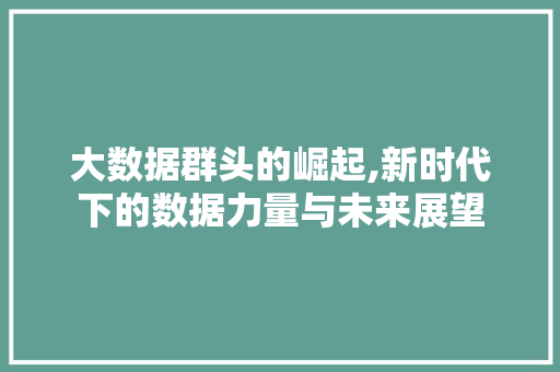 大数据群头的崛起,新时代下的数据力量与未来展望