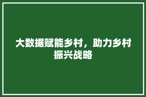 大数据赋能乡村，助力乡村振兴战略