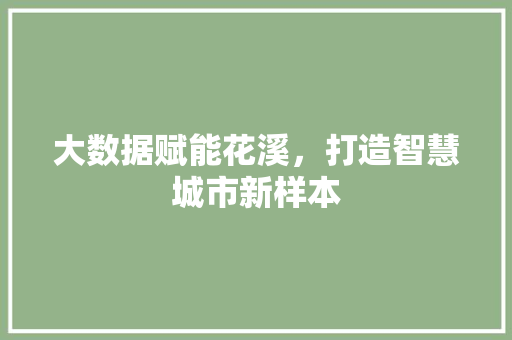 大数据赋能花溪，打造智慧城市新样本