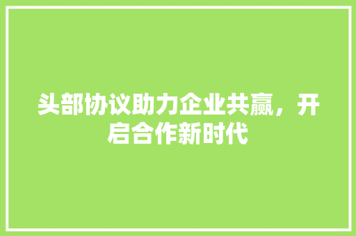头部协议助力企业共赢，开启合作新时代