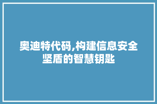 奥迪特代码,构建信息安全坚盾的智慧钥匙